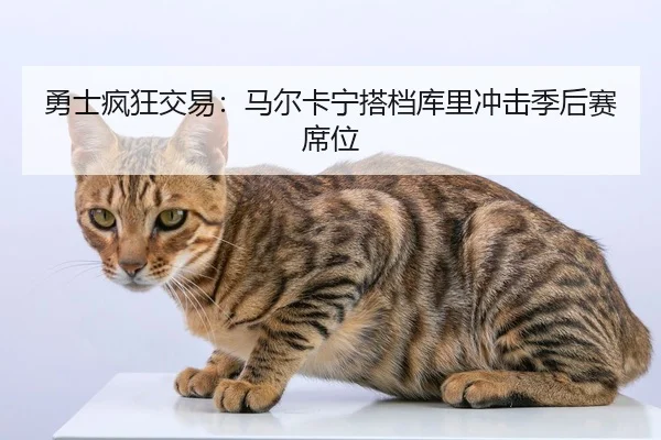 勇士疯狂交易：马尔卡宁搭档库里冲击季后赛席位
